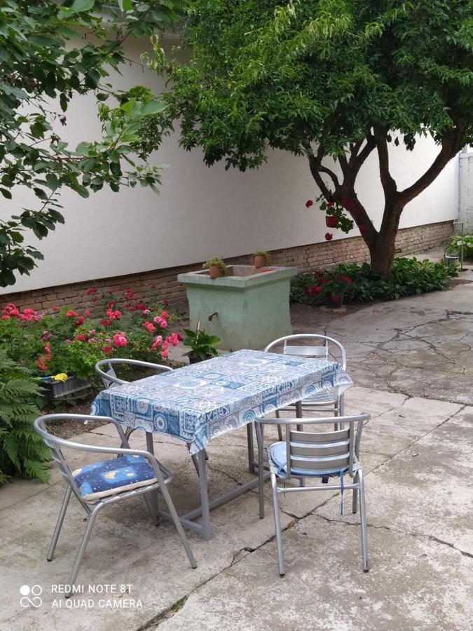 아파틴 Oaza Mira Porodicna Kuca Za Opustanje 빌라 외부 사진